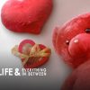 Love Life Everything in Between