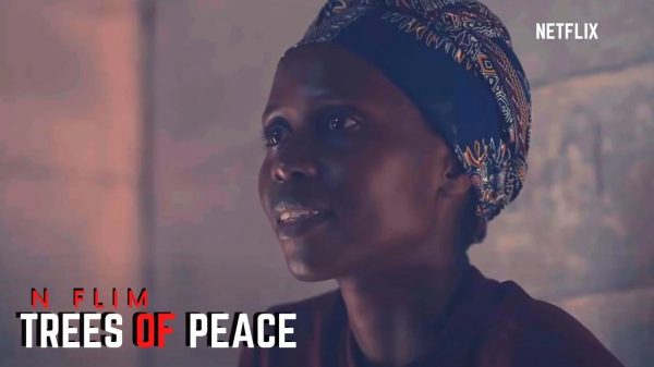 Trees of Peace Film