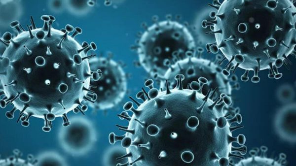 Was sind die Möglichkeiten der Influenza-Behandlung, Prävention Wie wird es übertragen