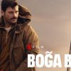 Boğa Boğa