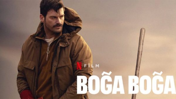 Boğa Boğa