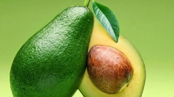 Avacado